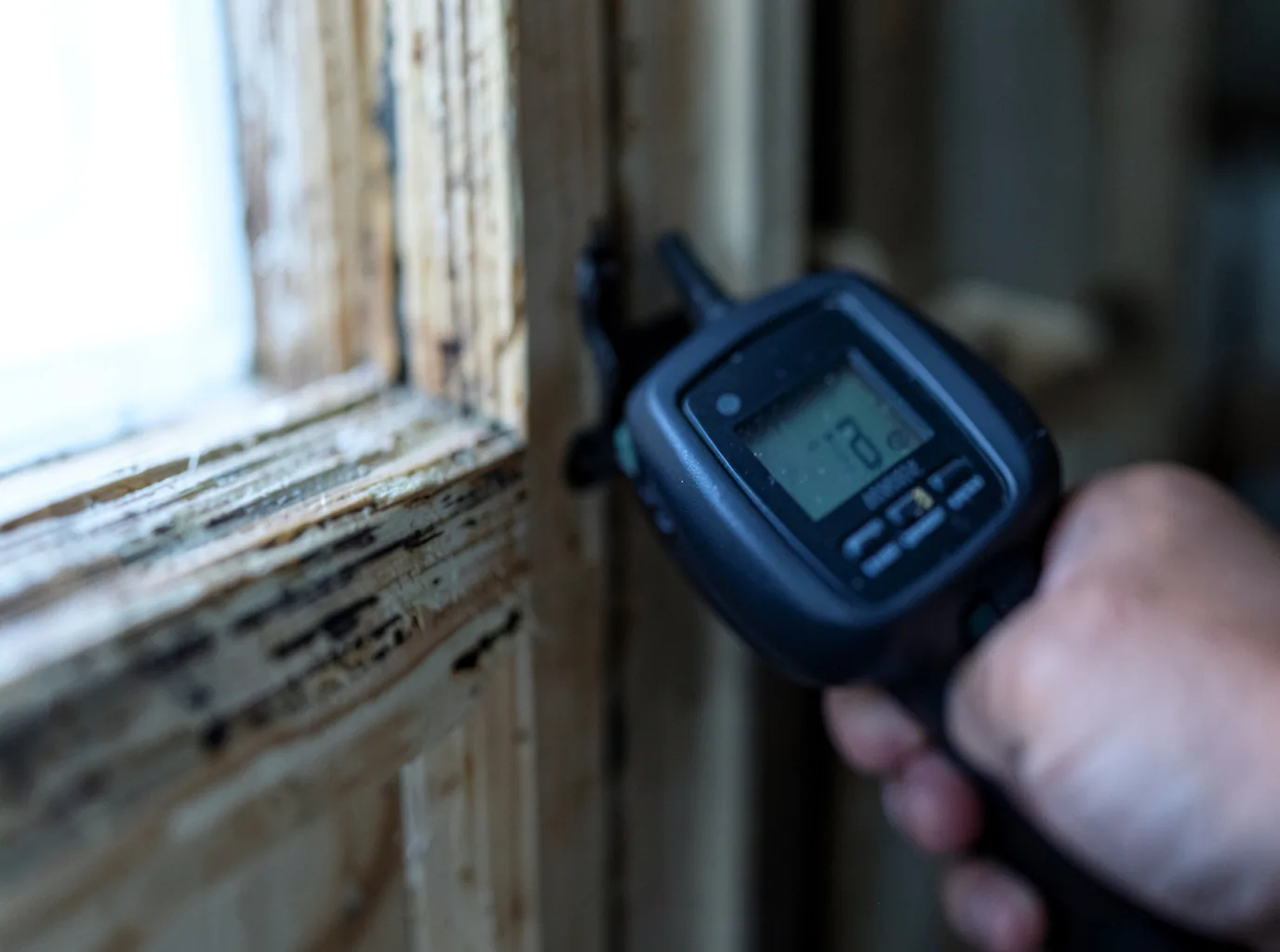 Moisture Inspection And Documentation in West Elizabeth, PA